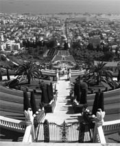 Terraces photo