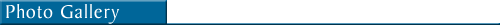 Photo Gallery tab